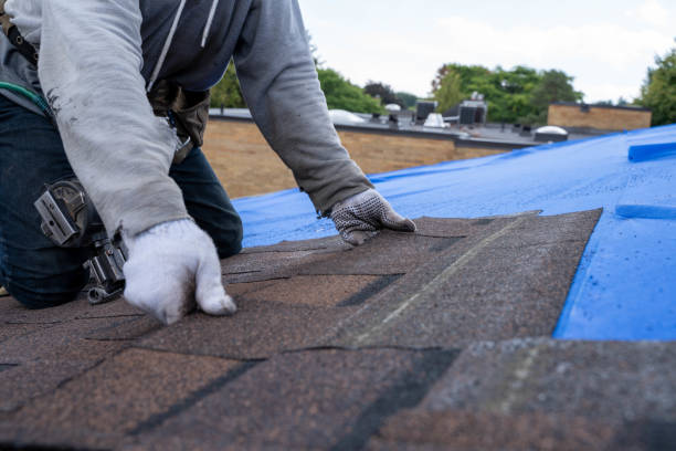 Best Roof Waterproofing Services  in Malvern, OH